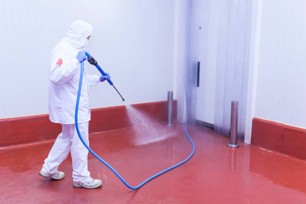 Best Driveway Pressure Washing  in Lebanon, IN